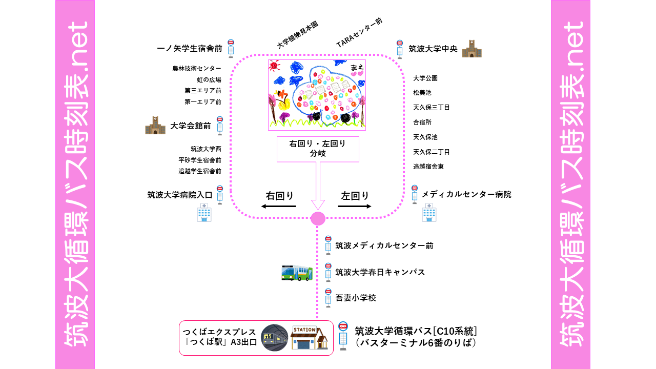 筑波大学循環バス時刻表（スマホ対応）C10系統